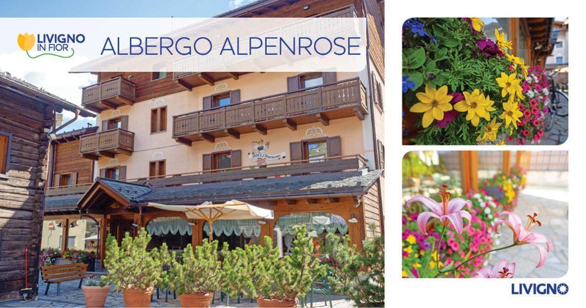 Albergo Alpenrose リヴィーニョ エクステリア 写真