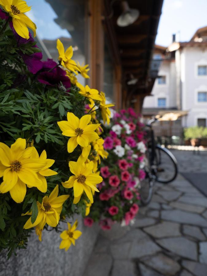 Albergo Alpenrose リヴィーニョ エクステリア 写真